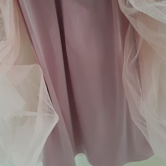 Stunning Sue Wong Mauve gown size 6 - Picture 12 of 13
